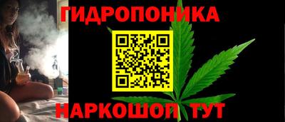 спайс Обь