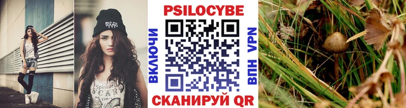 Псилоцибиновые грибы Psilocybe  Родники 