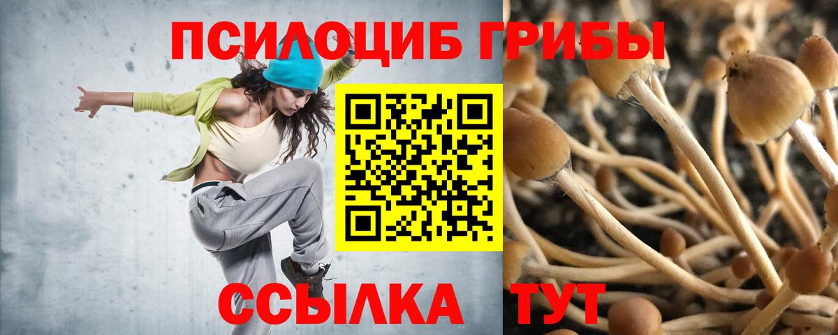 Псилоцибиновые грибы Psilocybe Родники