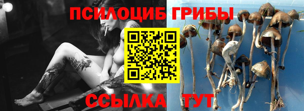 Галлюциногенные грибы MAGIC MUSHROOMS  Вход с VPN  Галлюциногенные грибы Psilocybine cubensis  Родники 